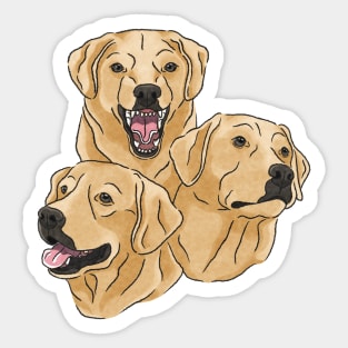 Labrador Retriever Heads Sticker